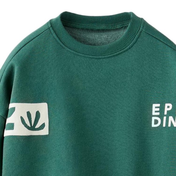 Zara Green Epic Dino Kids Sweatshirt - Picture 2 of 3